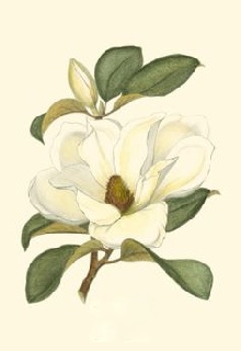 Barbara Jean Crittendon